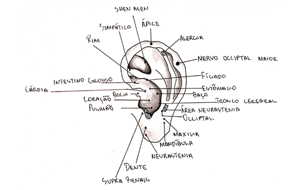 auriculoterapia na odontologia